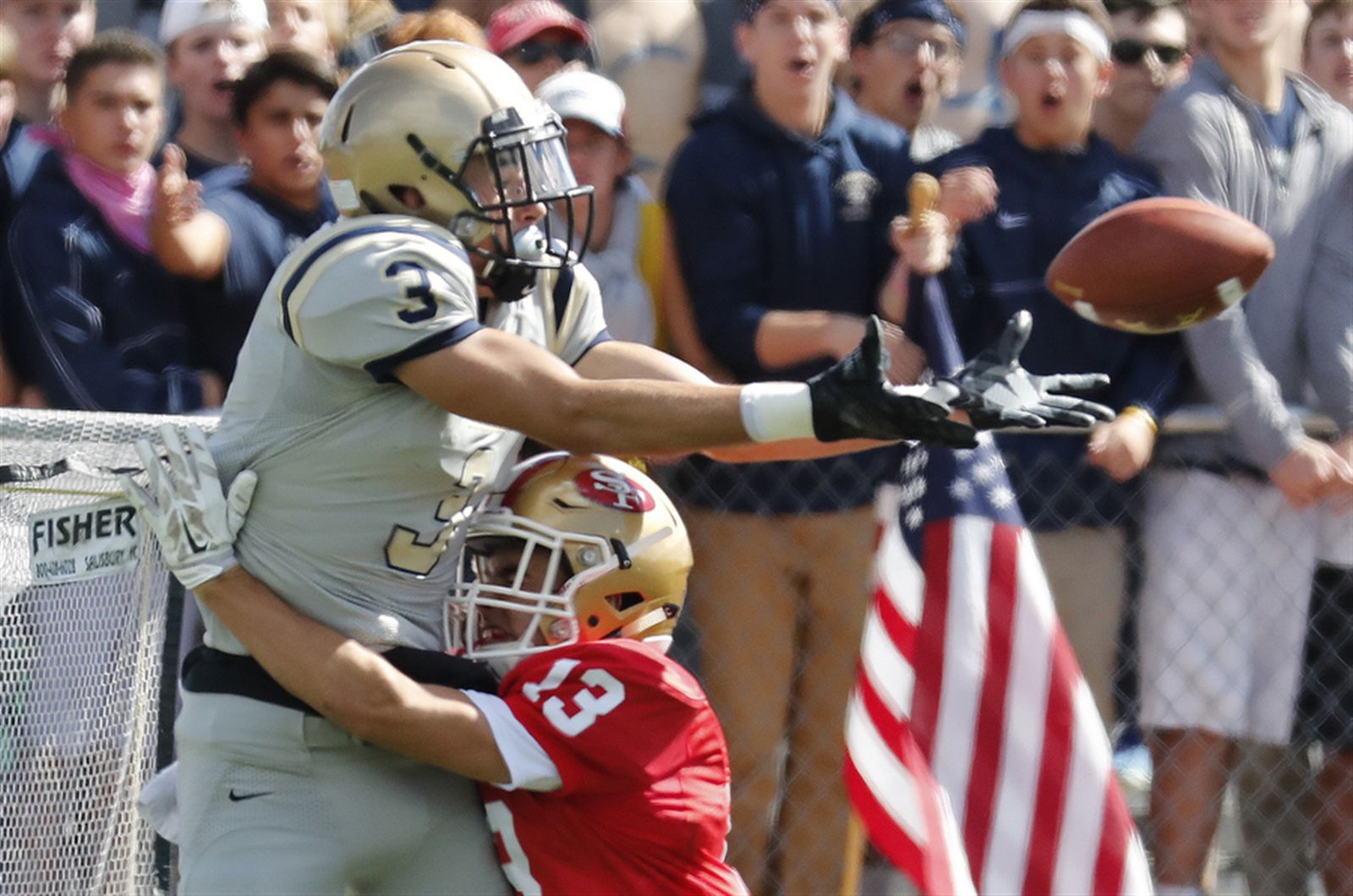 Canisius 55, St. Francis 13